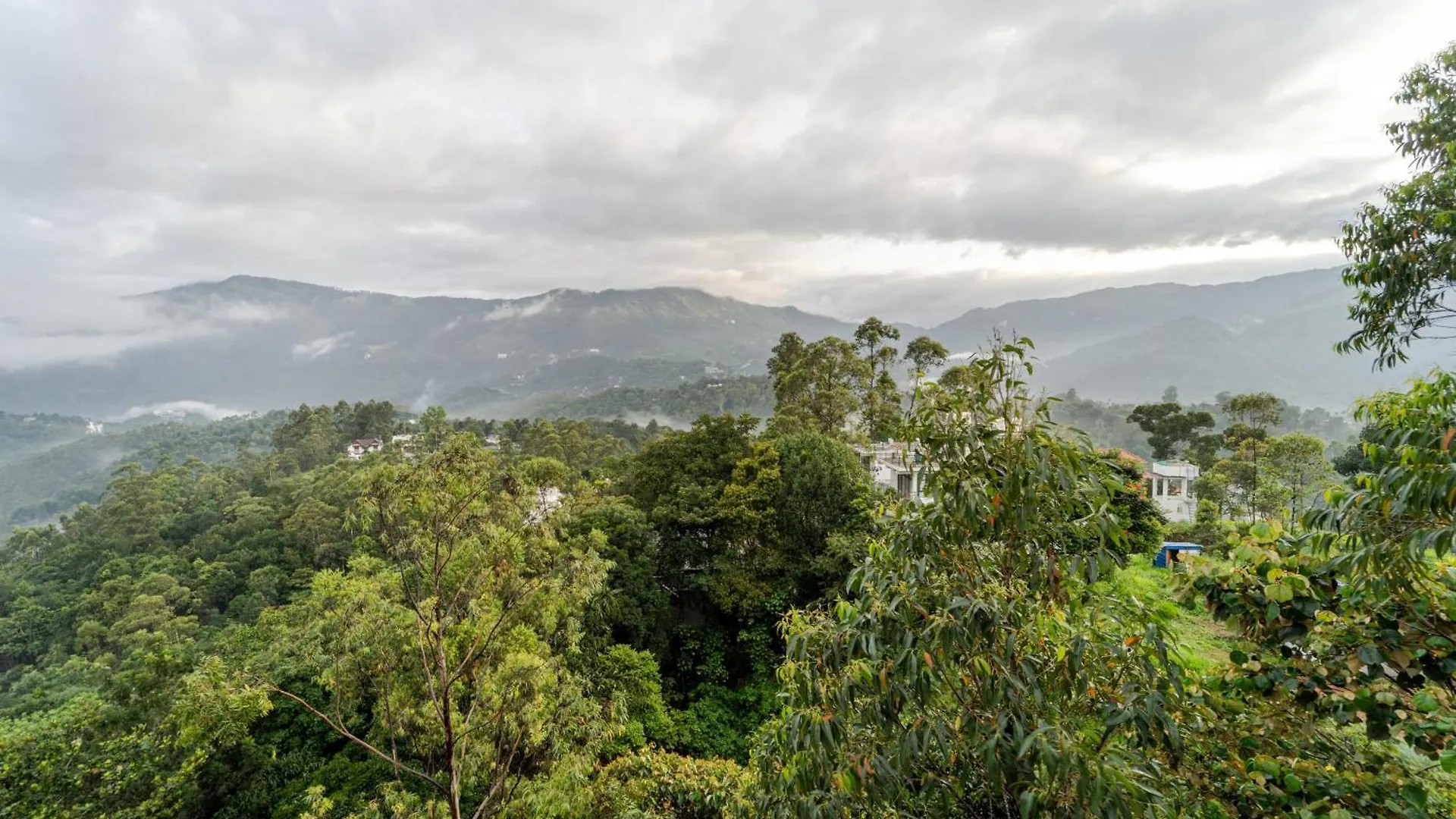 Treebo Windsong Resort Munnar, Tea Plantation View